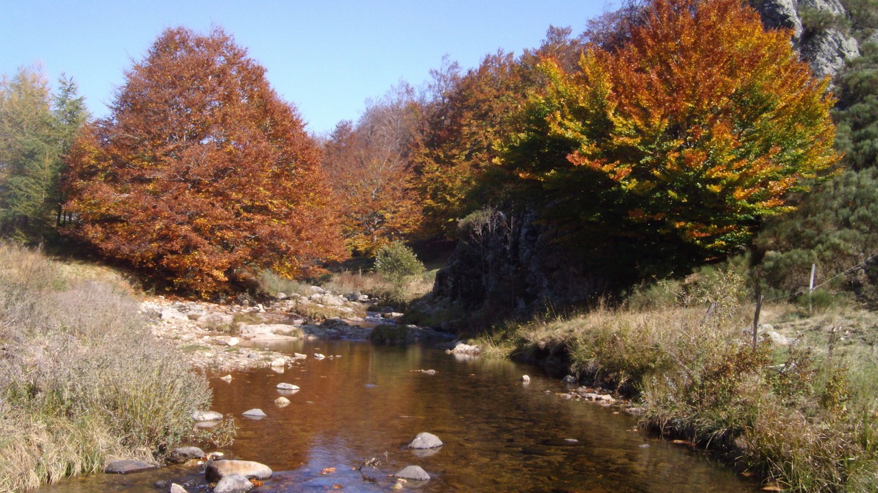 Photo of Outdoor in Le Lac-d'Issarles