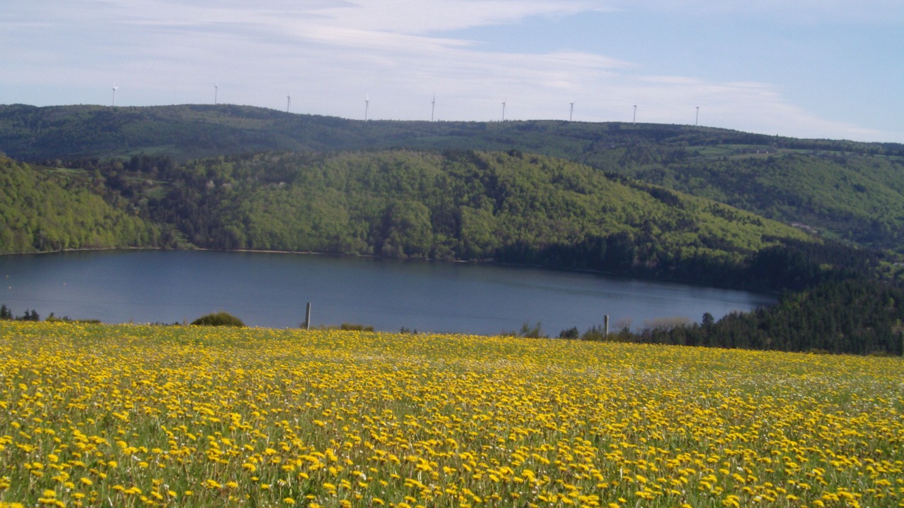 Photo of Others in Le Lac-d'Issarles