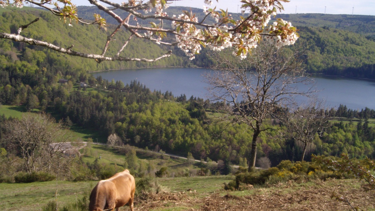 Photo of Outdoor in Le Lac-d'Issarles