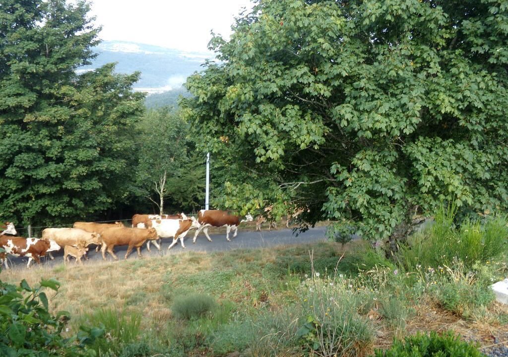 Photo of Outdoor in Le Lac-d'Issarles