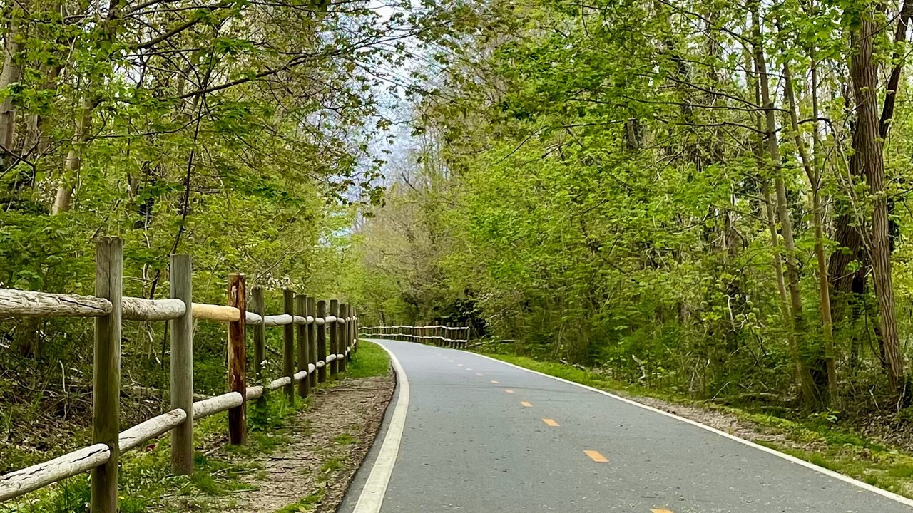 Photo of Others in Bristol