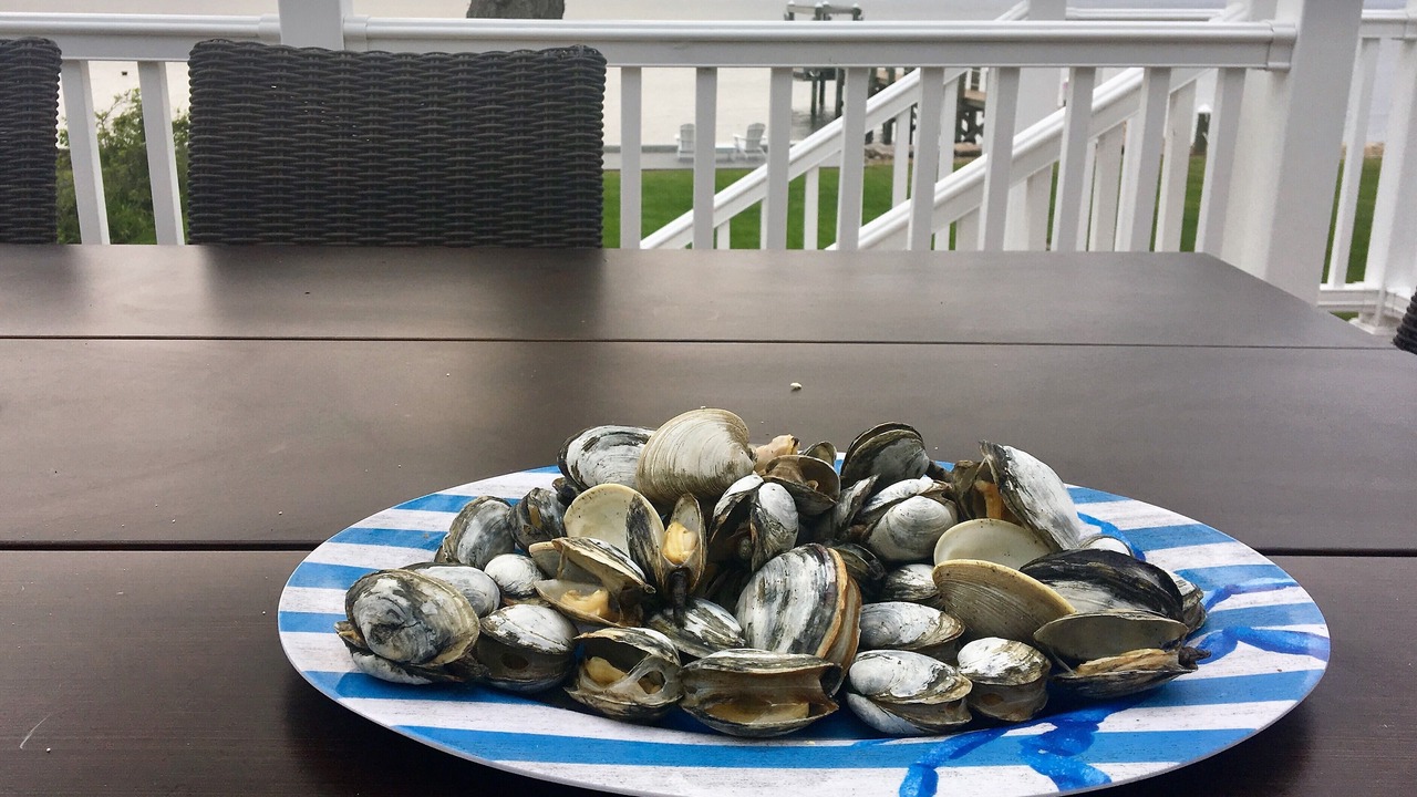 Photo of Others in Bristol