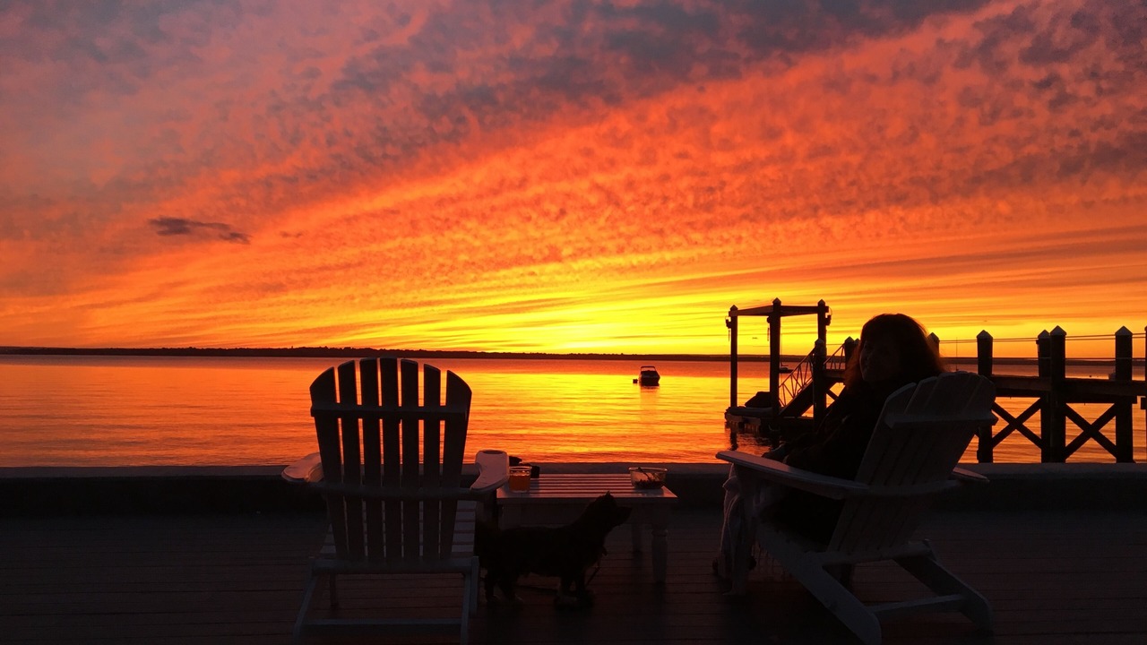 Photo of Others in Bristol