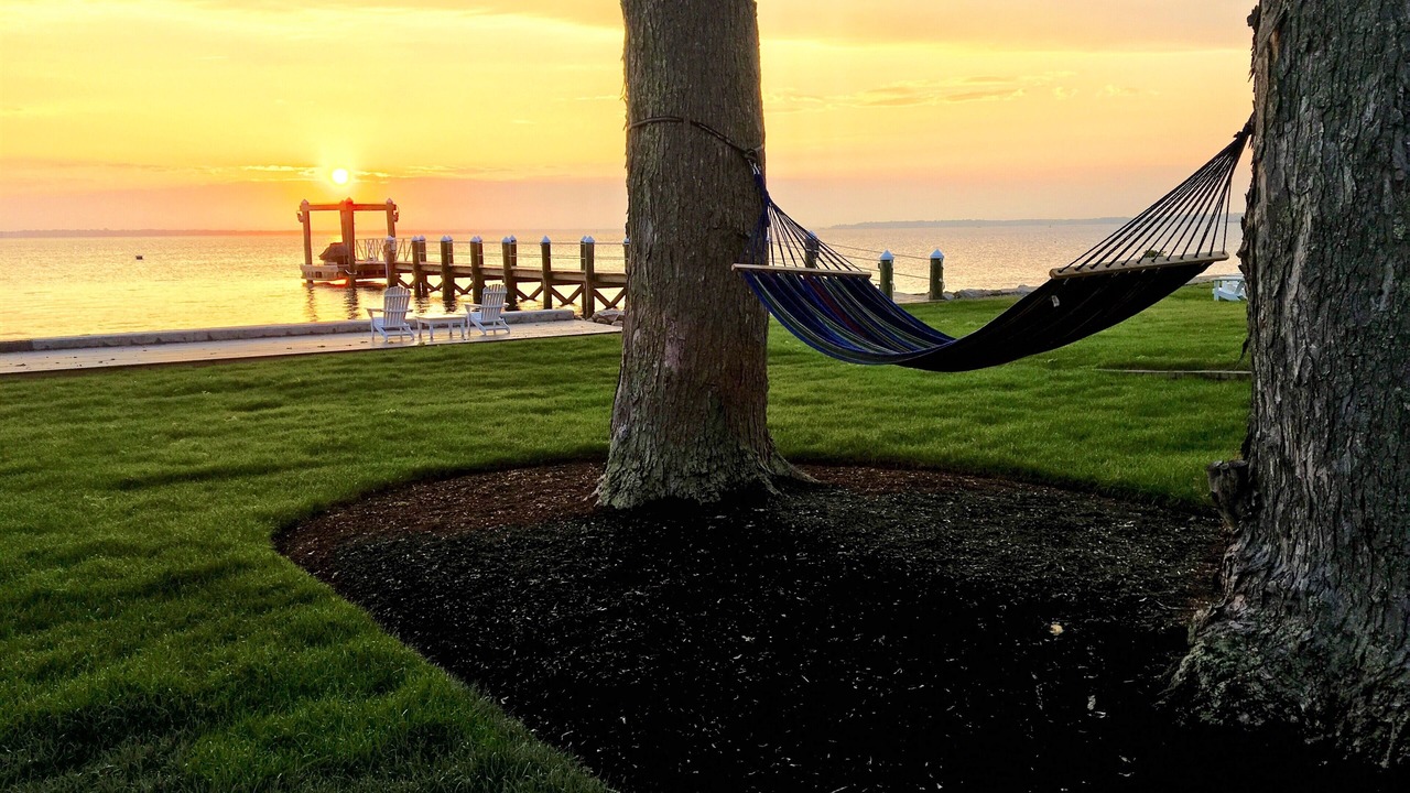 Photo of Others in Bristol