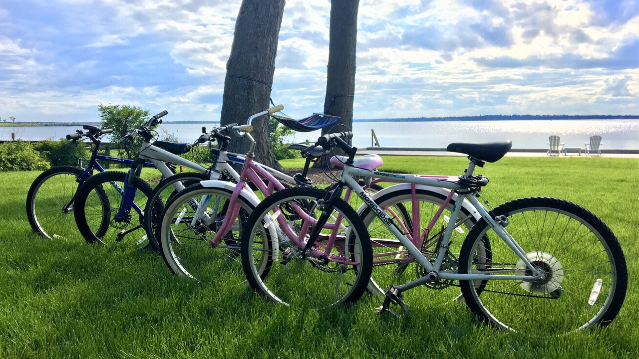 Photo of Others in Bristol