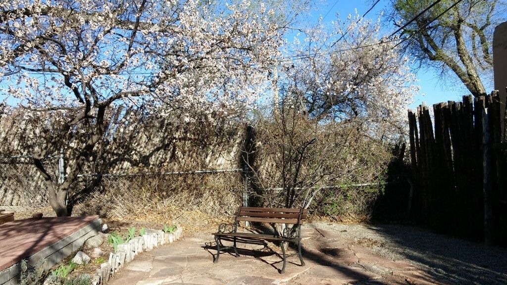 Photo of Outdoor in Northeast Santa Fe