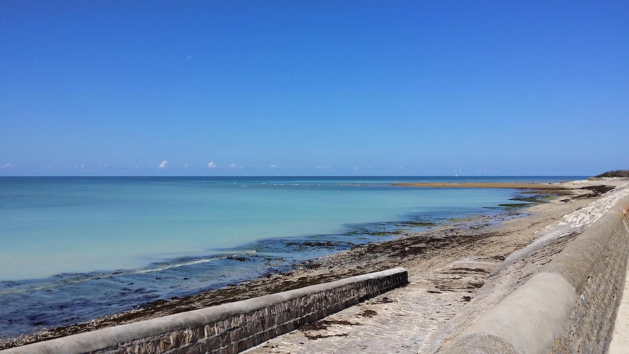 Photo of Others in Saint-Clement-des-Baleines