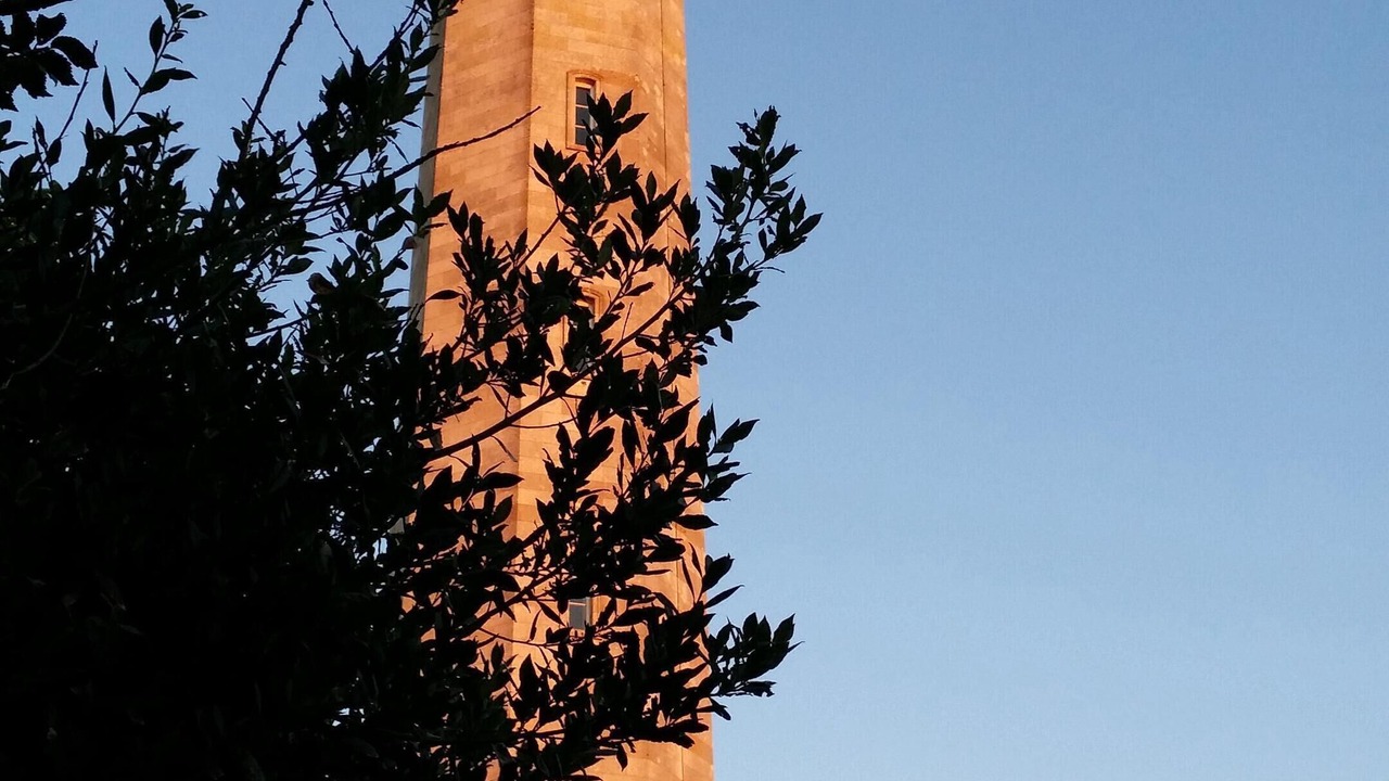 Photo of Others in Saint-Clement-des-Baleines