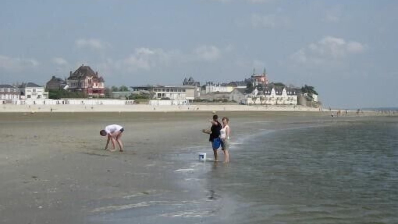 Photo of Others in Le Crotoy