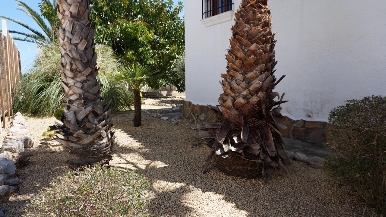 Photo of Outdoor in Monte Pego