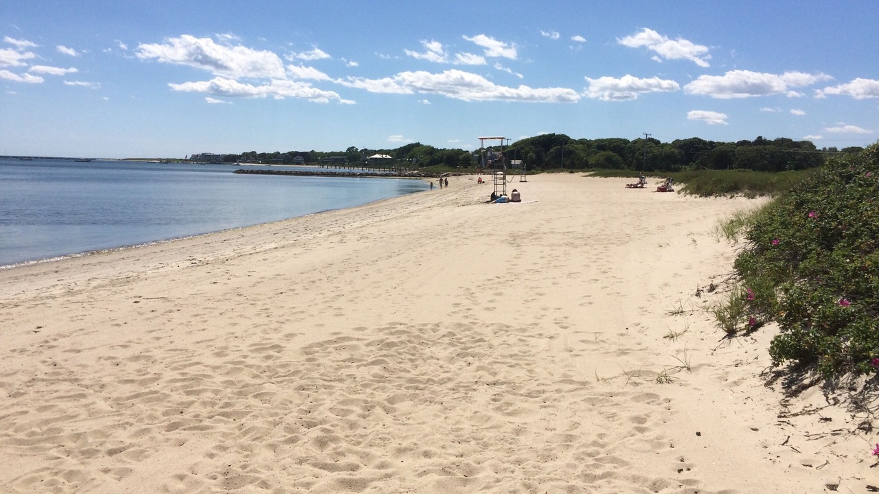 Photo of Others in Hyannis