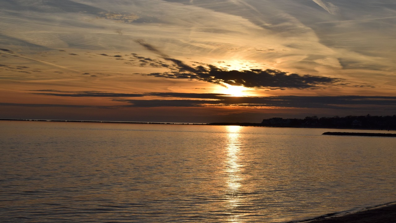 Photo of Others in Hyannis