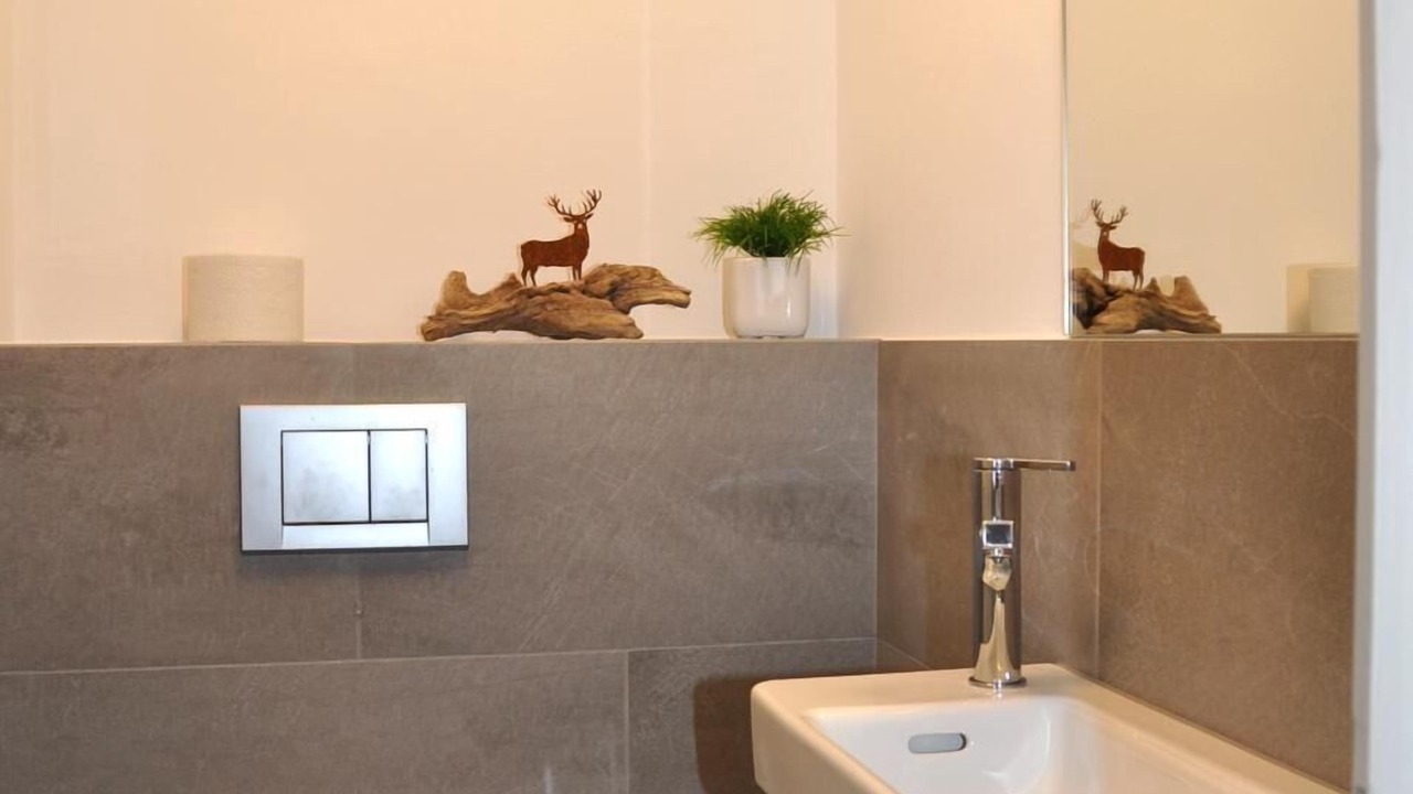 Photo of Bathroom in Engadin Scoul