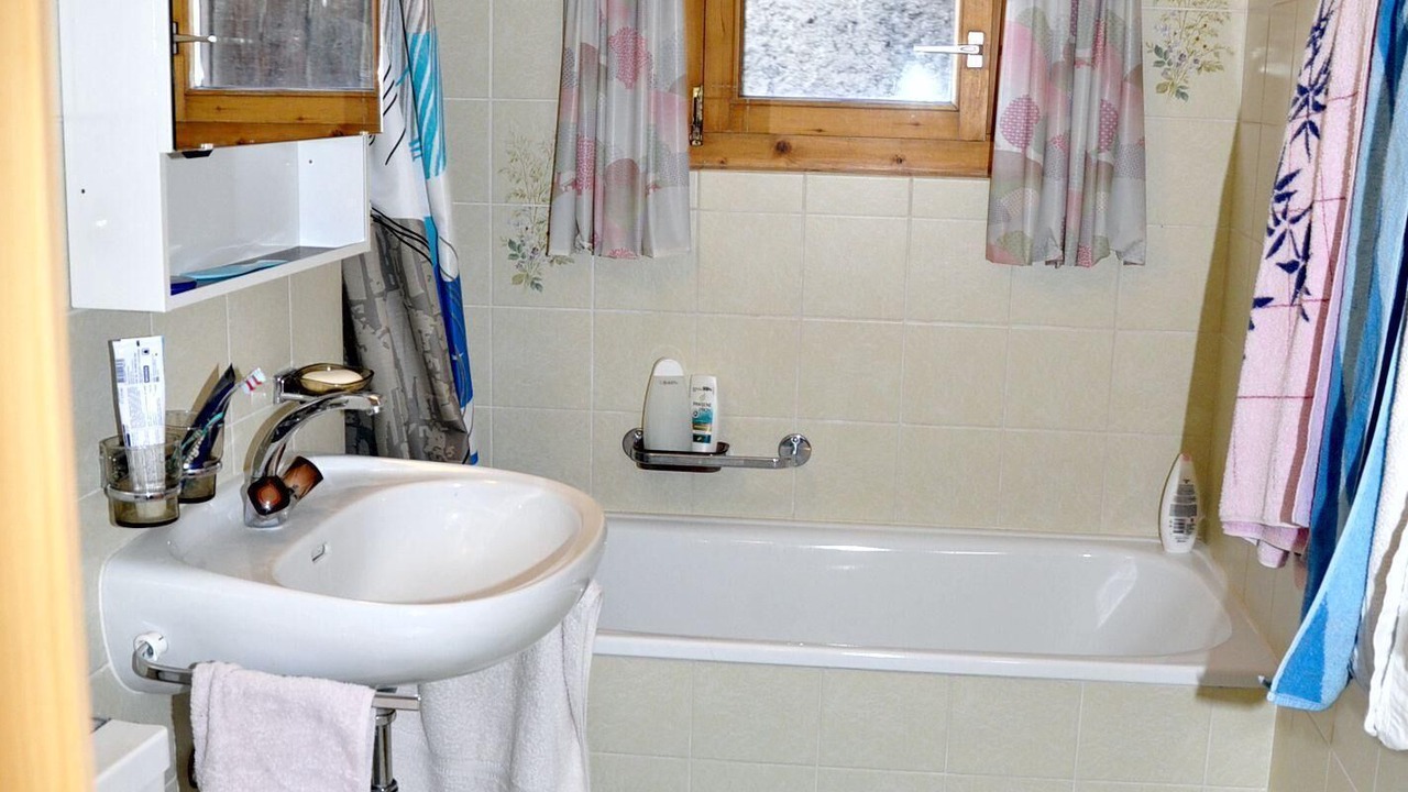 Photo of Bathroom in Engadin Scoul