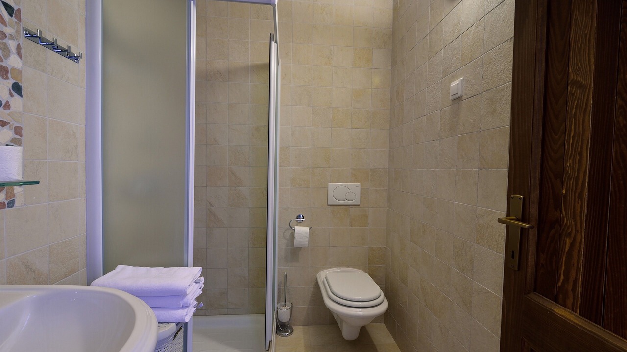 Photo of Bathroom in Sveti Martin