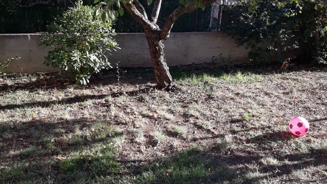 Photo of Outdoor in Biguglia