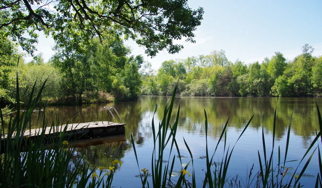 Photo of Outdoor in Busserolles