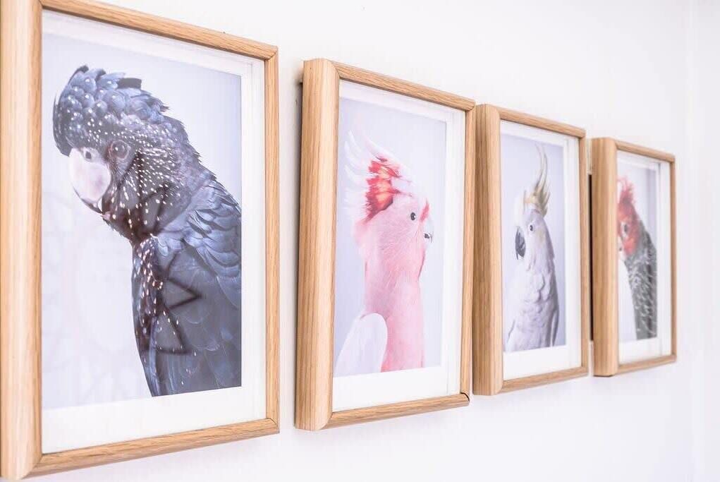 Photo of Others in Moffat Beach