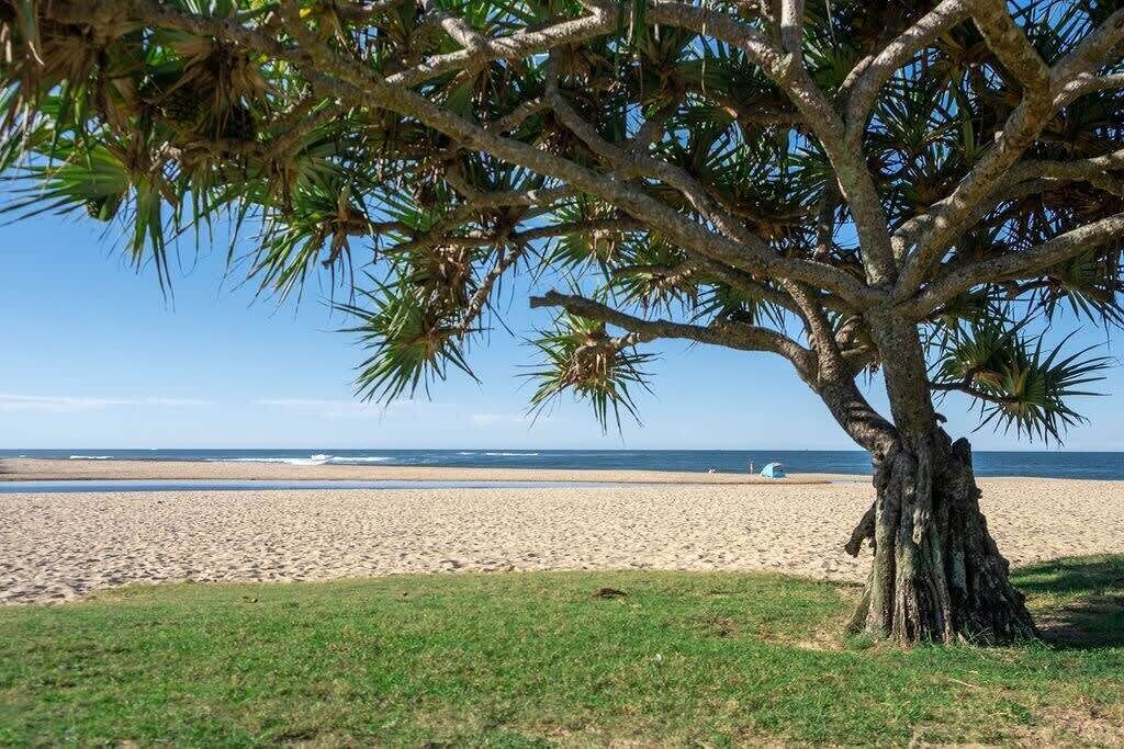 Photo of Others in Moffat Beach