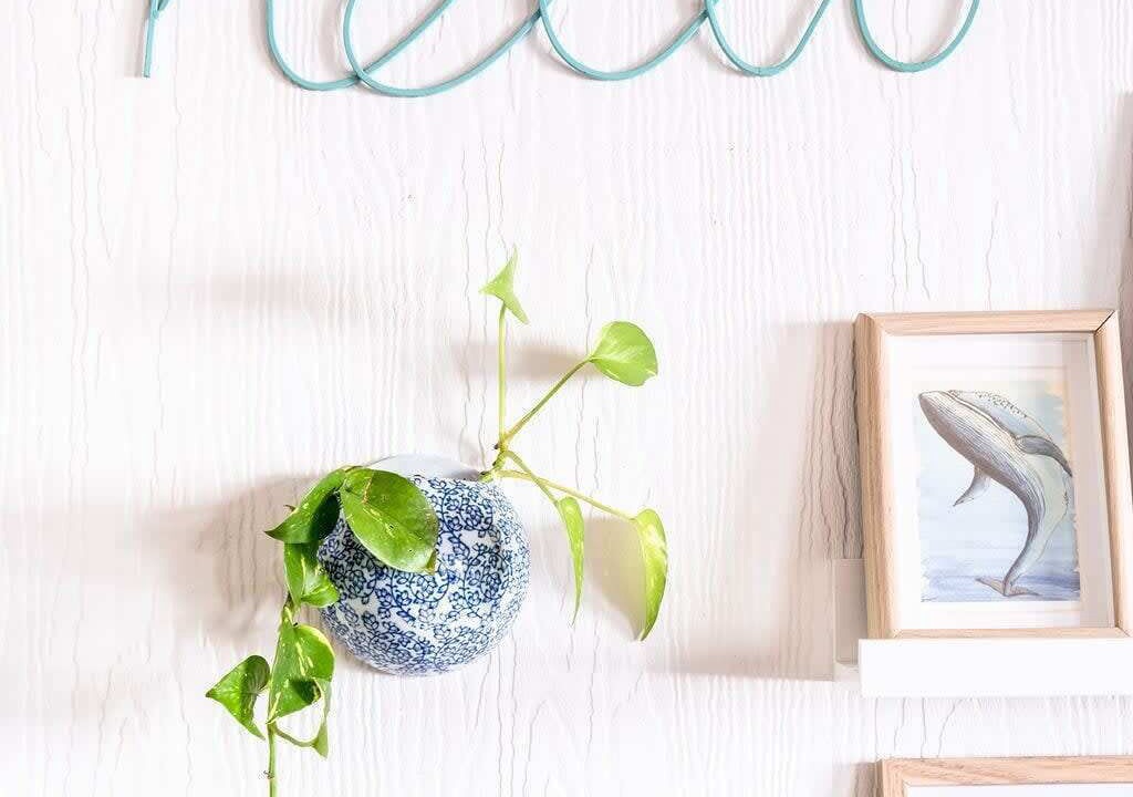 Photo of Others in Moffat Beach