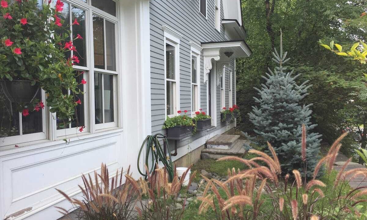 Photo of Outdoor in Stowe Area