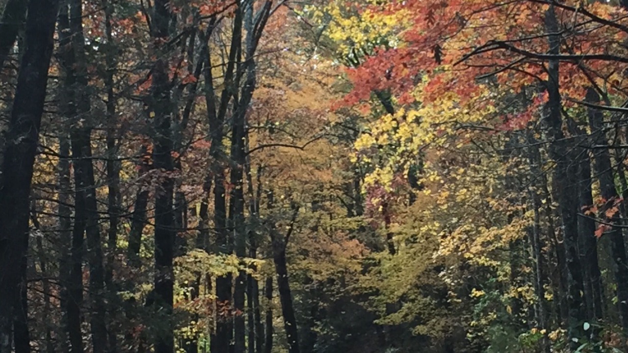 Photo of Outdoor in Sapphire