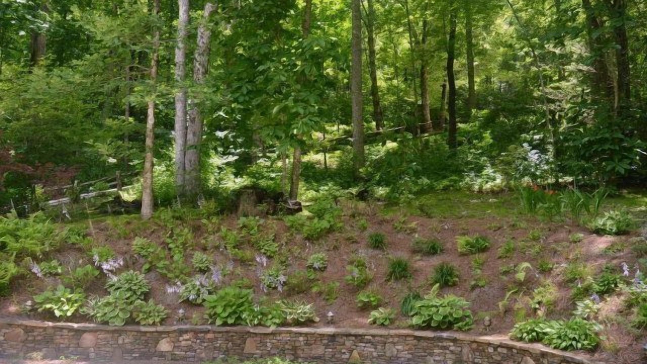 Photo of Outdoor in Sapphire