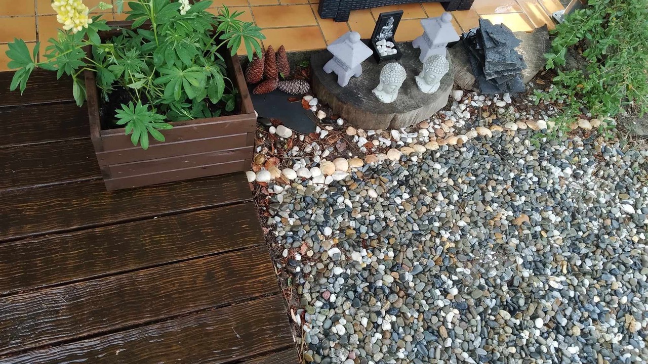Photo of Outdoor in Lit-et-Mixe