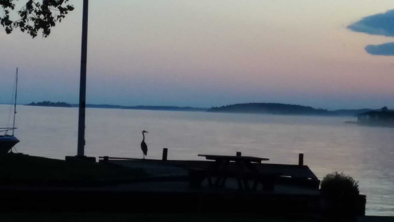 Photo of Others in Fishers Landing