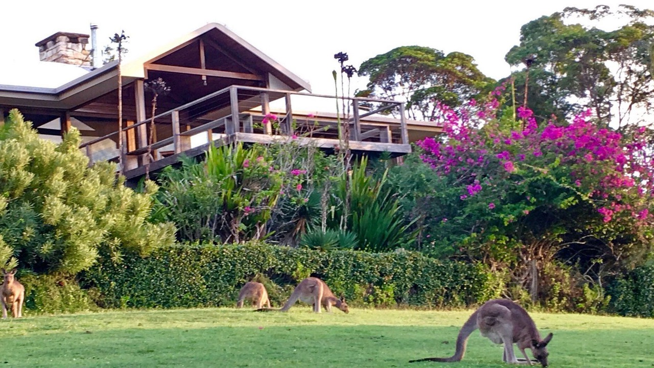 Photo of Others in South West Rocks