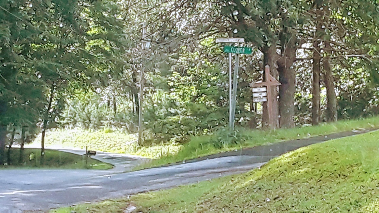 Photo of Others in Murphy