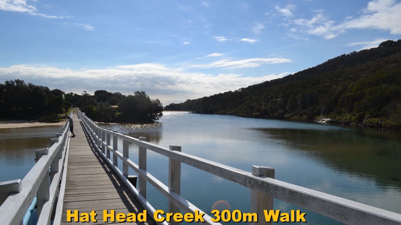 Photo of Others in Hat Head