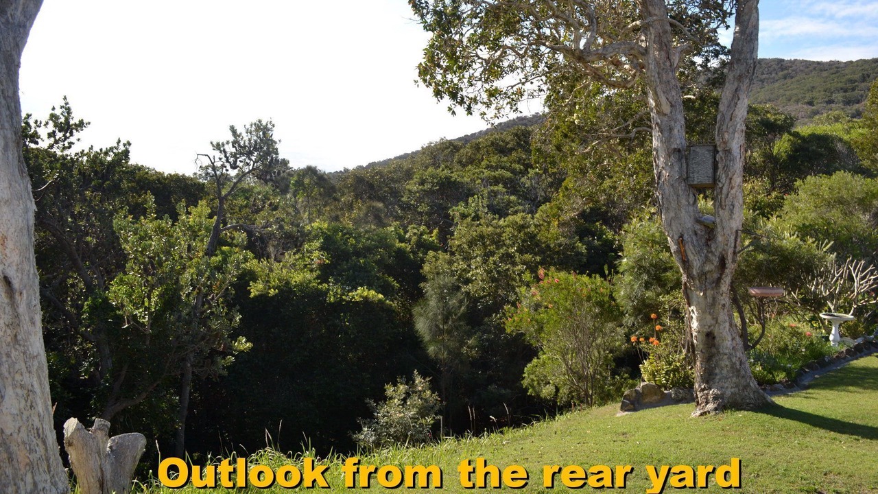 Photo of Others in Hat Head