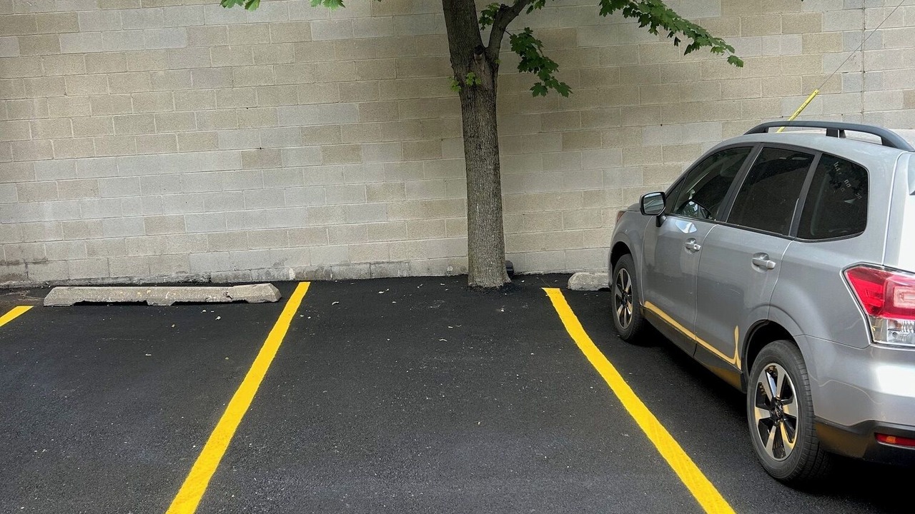 Photo of Others in Lincoln Park
