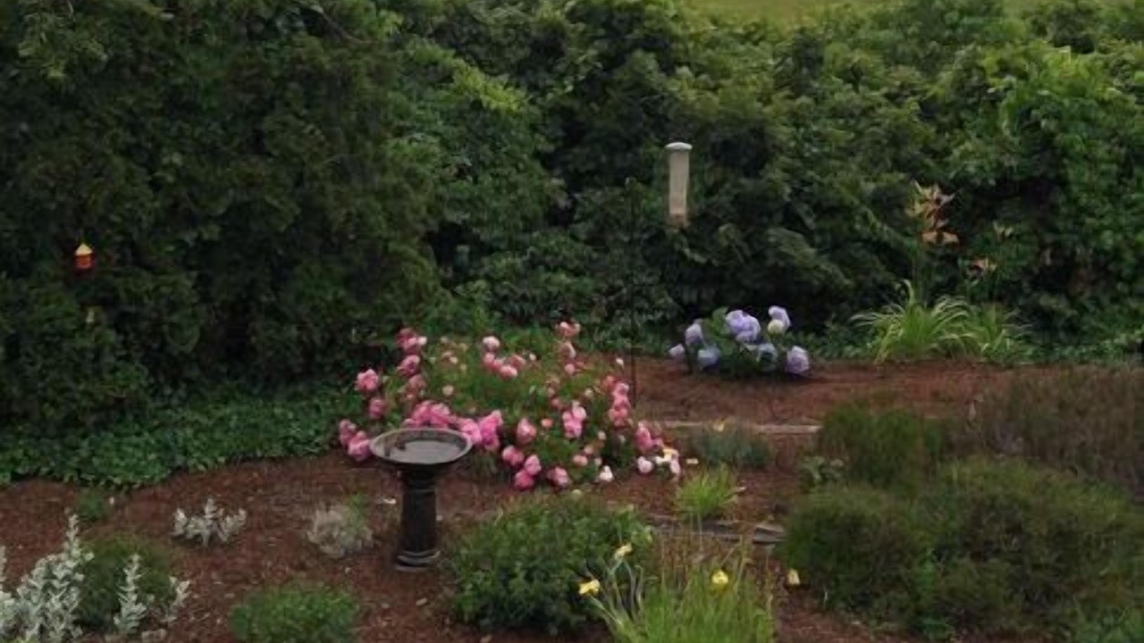 Photo of Others in South Chatham