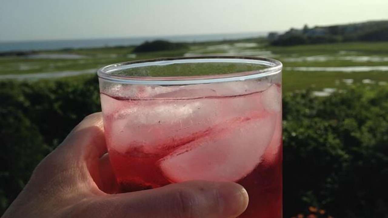 Photo of Others in South Chatham