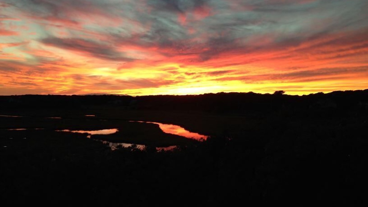 Photo of Others in South Chatham