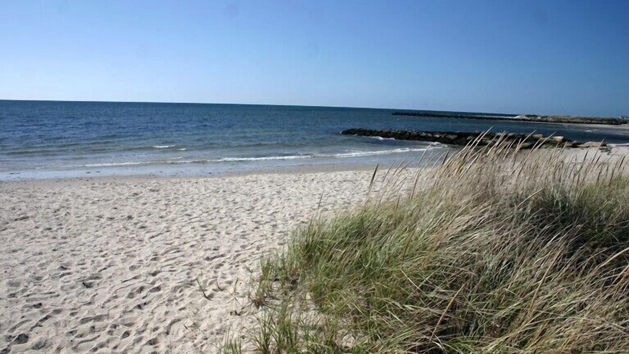 Photo of Others in South Chatham