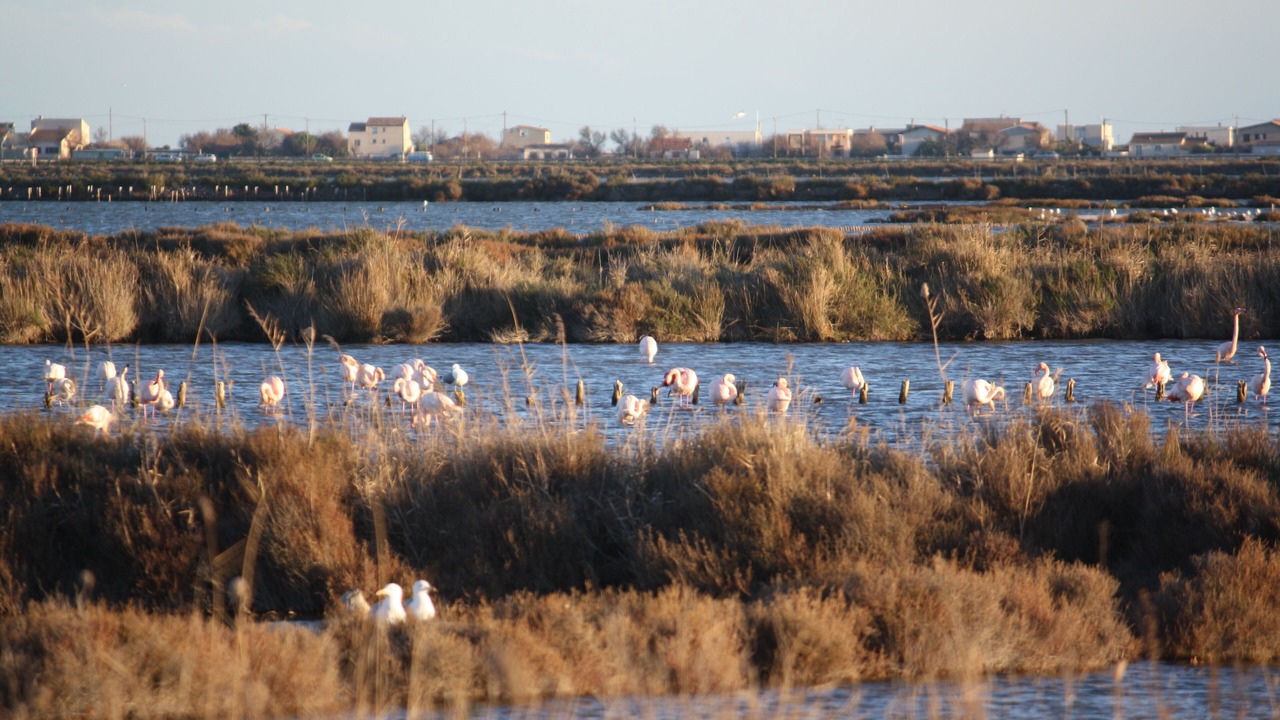 Photo of Outdoor in Frontignan