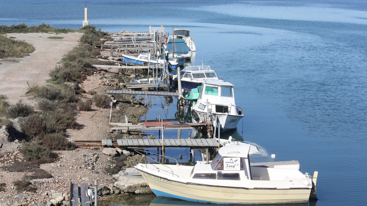 Photo of Others in Frontignan