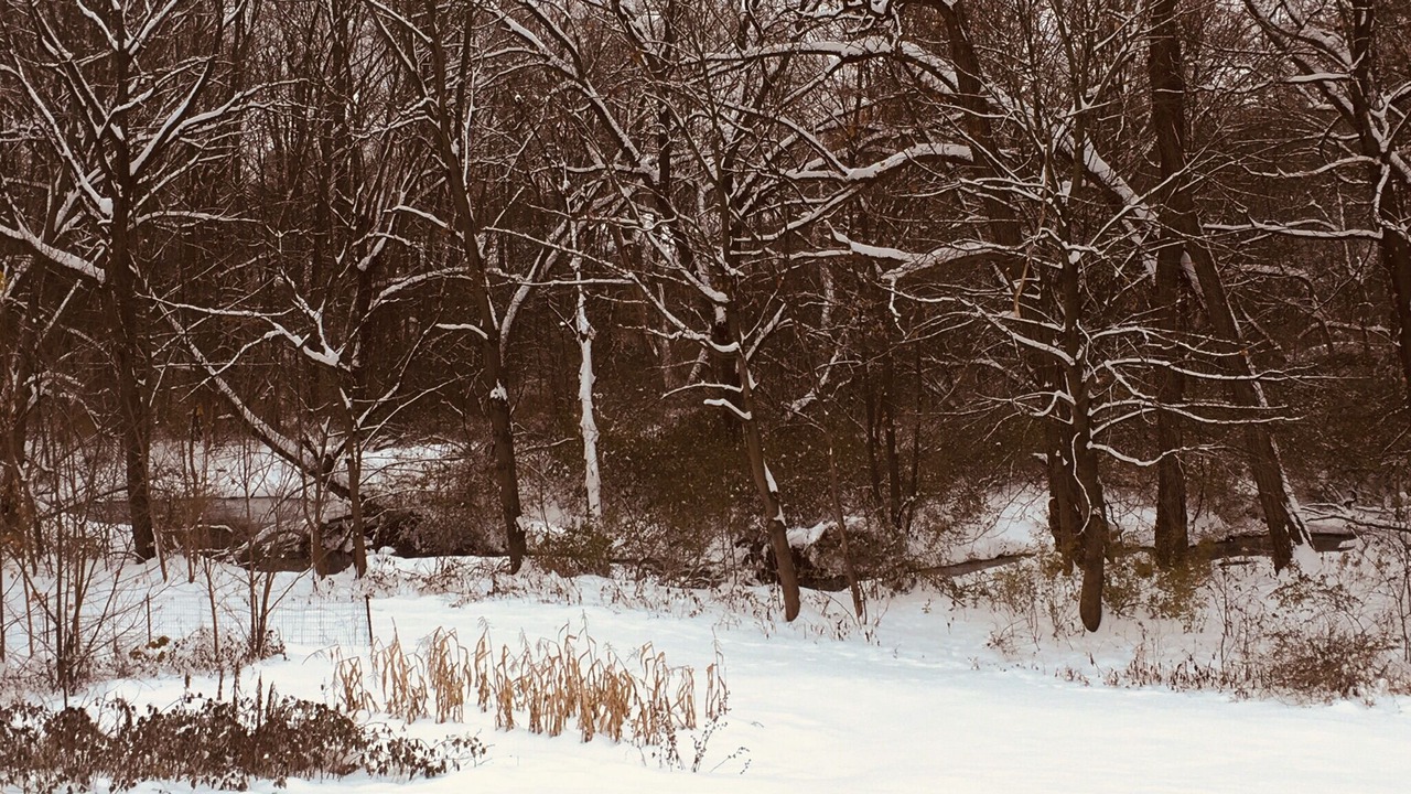 Photo of Others in Burdett