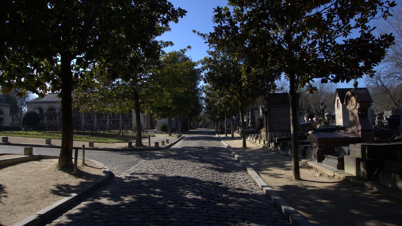 Photo of Others in Saint-Fargeau