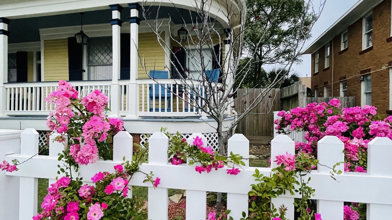 Photo of Outdoor in Galveston