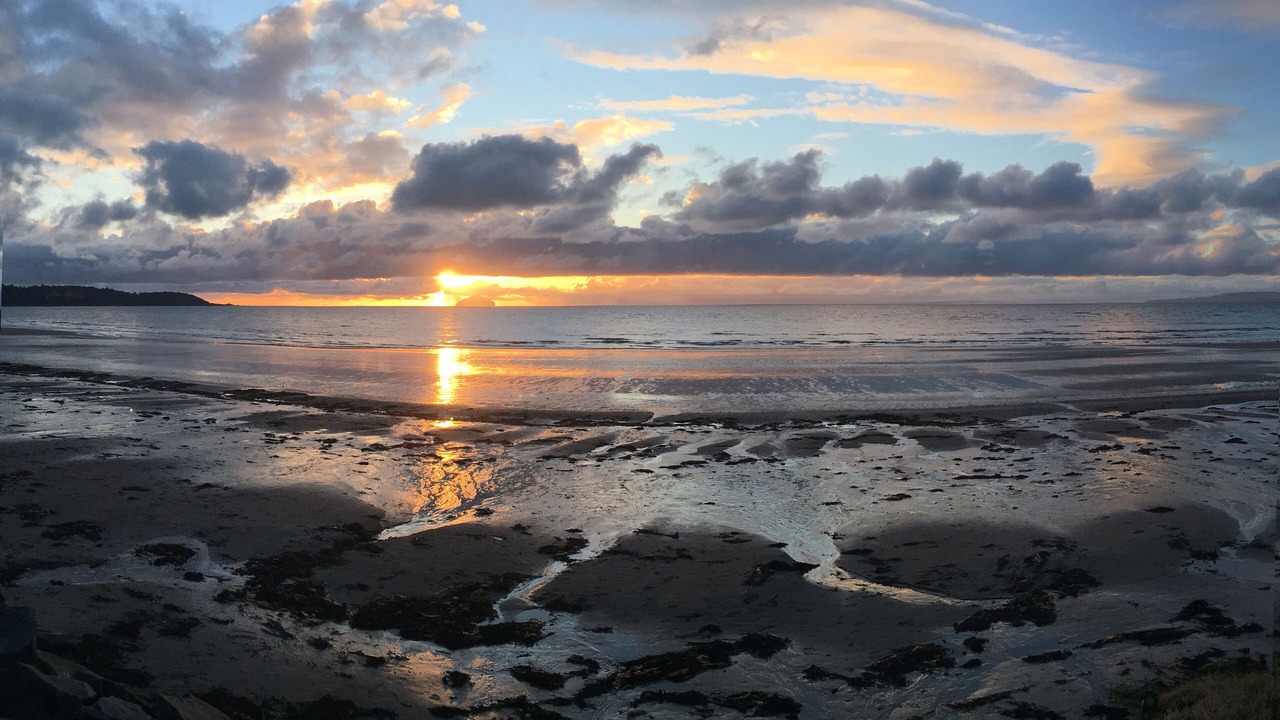 Photo of Others in Ayr