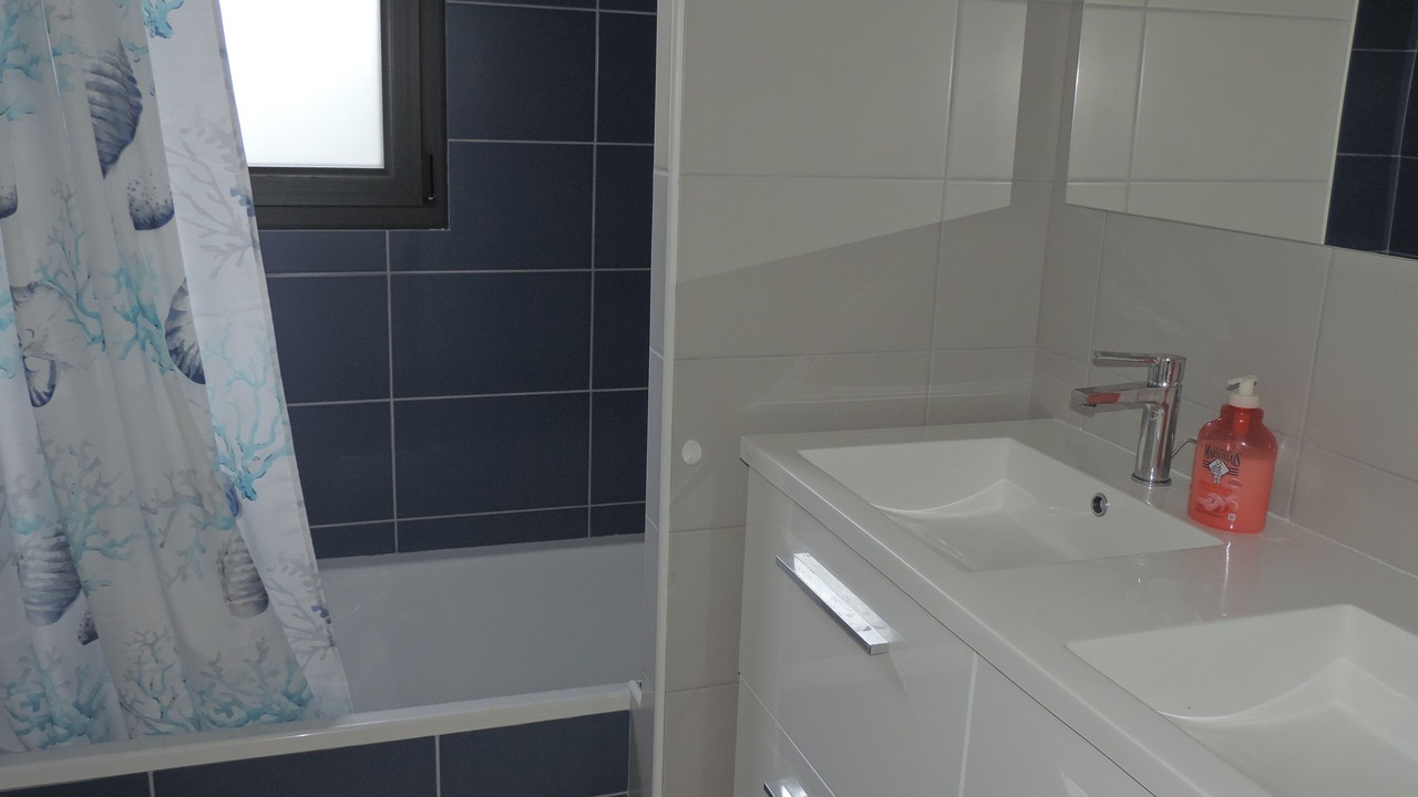 Photo of Bathroom in Combrit