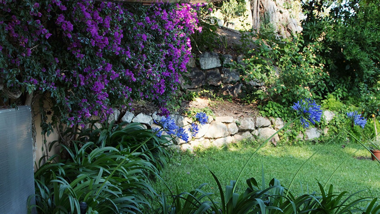 Photo of Outdoor in Roquebrune-Cap-Martin