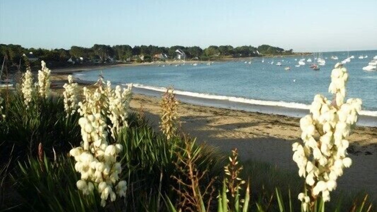 Photo of Others in Mesquer