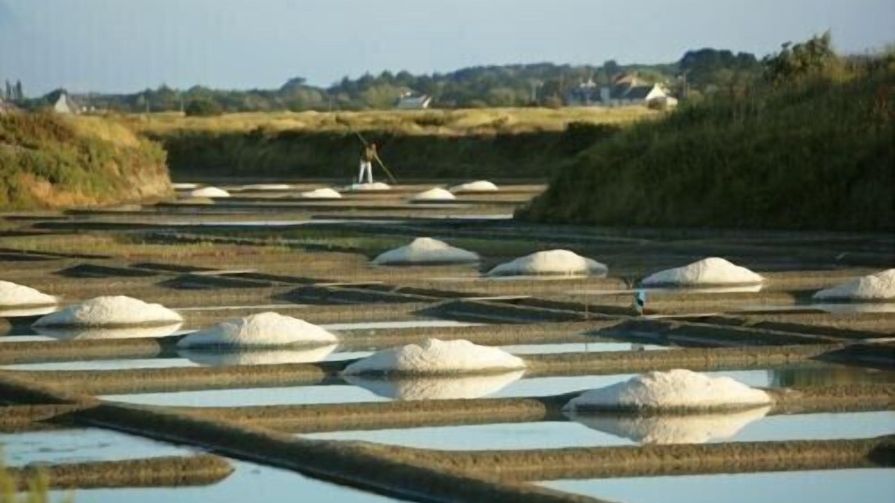 Photo of Outdoor in Mesquer