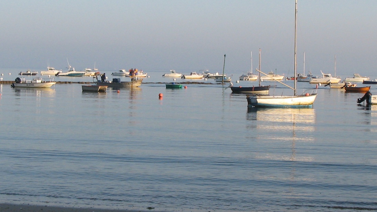 Photo of Others in Mesquer