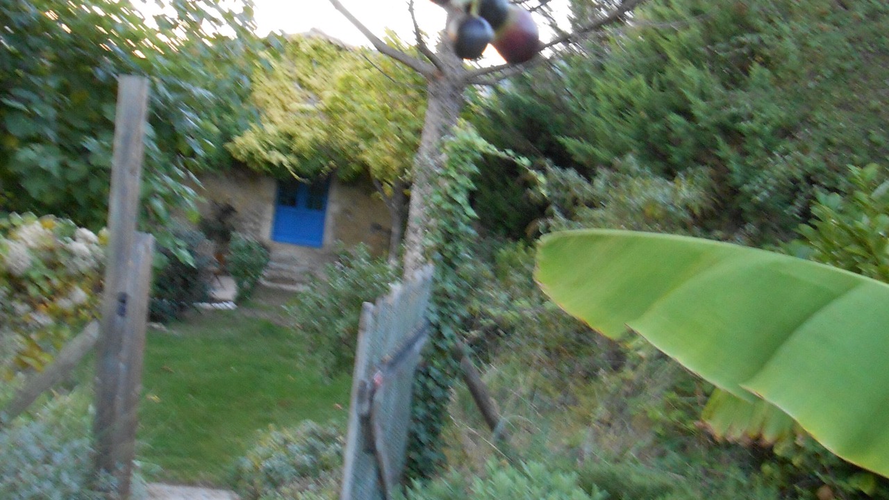 Photo of Outdoor in La Laupie